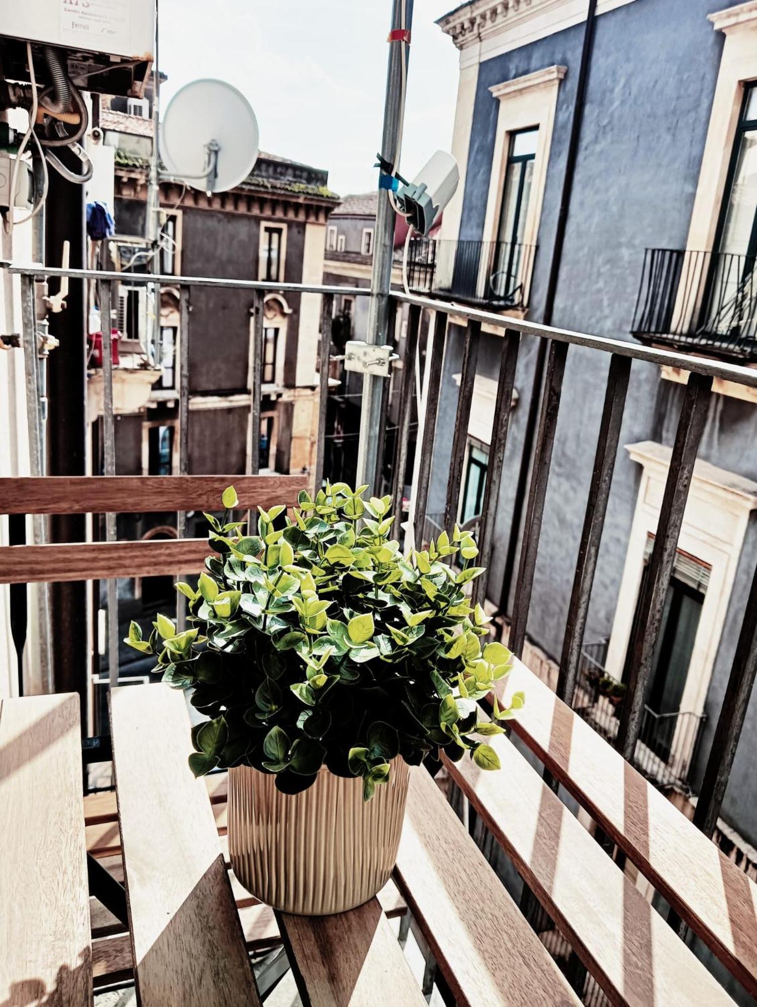 Apartamento Domus Coppola CTA Exterior foto